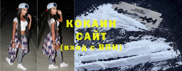 стаф Козельск
