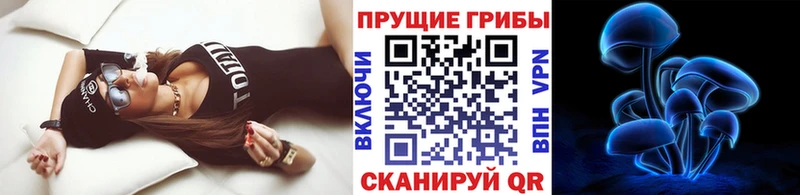 Псилоцибиновые грибы Cubensis  Гремячинск 